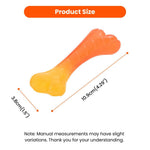 Colorful Gradient Collection Transparent Durable TPR Bone Dog Toy - GreenFur