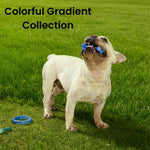 Colorful Gradient Collection Transparent Durable TPR Bone Dog Toy - GreenFur