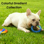 Colorful Gradient Collection Transparent Durable TPR Ring Dog Toy - GreenFur