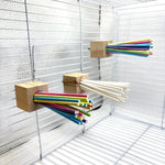 Colorful Hanging Bird Perch with Chewable Paper Sticks - GreenFur