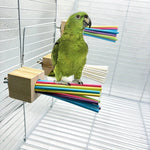 Colorful Hanging Bird Perch with Chewable Paper Sticks - GreenFur