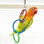 Colorful Parrot Hanging Rings Toy with Bell - GreenFur