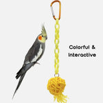 Colorful Rattan Ball Bird Chew Toy - GreenFur