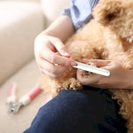 Comfort Pet Nail Clippers Large File for Dogs and Cats - GreenFur