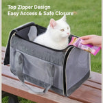 Comfortable Breathable Foldable Large Capacity Pet Backpack - GreenFur
