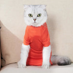 Comfortable Post - Surgery Cat Recovery Suit for Cats - GreenFur