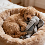 Companion Adorable Elephant Pet Puppy Dog Toy - GreenFur
