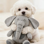 Companion Adorable Elephant Pet Puppy Dog Toy - GreenFur