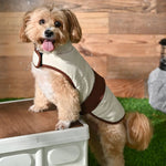 Contrasting Belt Design Jacquard Striped Texture Dog Coat - GreenFur