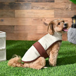 Contrasting Belt Design Jacquard Striped Texture Dog Coat - GreenFur