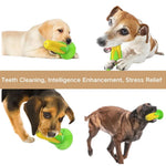 Corn Shaped Dog Toothbrush Squeaky Chew Toy - GreenFur