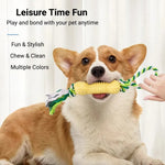 Cotton Rope Bone Chew Toy for Dogs - GreenFur