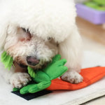 Cotton Rope Interactive Toy with Crinkle Paper Squeaker for Dogs - GreenFur