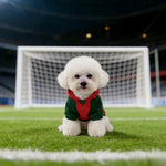 Cozy Warm Fabric Comfortable and Fashion Polyester FPF Pet Hoodie - GreenFur