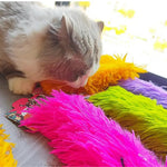 Crinkle Paper and Catnip Monster Hug Kick Cat Self - Play Toy - GreenFur