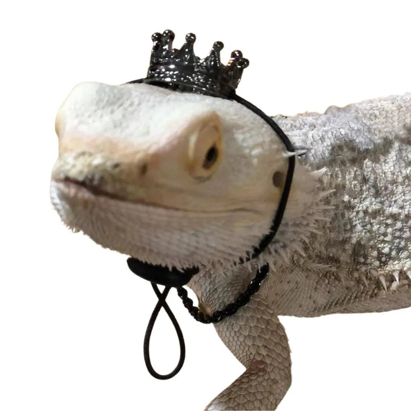 Crown and Neckless Costume Pet Outfit for Lizard - GreenFur