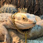 Crown and Neckless Costume Pet Outfit for Lizard - GreenFur