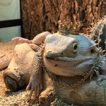 Crown and Neckless Costume Pet Outfit for Lizard - GreenFur