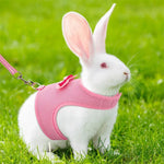 Cute and Breathable Bowknot Pet Harness and Leash Set for Rabbits - GreenFur