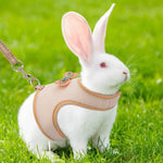 Cute and Breathable Bowknot Pet Harness and Leash Set for Rabbits - GreenFur
