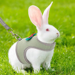 Cute and Breathable Bowknot Pet Harness and Leash Set for Rabbits - GreenFur