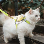 Cute Bee Pet Leash Puppy Dog Harness Leash Set - GreenFur