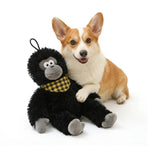 Cute Black Ape Style Hangable Squeaky Crinkly Dog Companion Toy - GreenFur