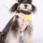 Cute Bowknot Pet Anti - pull Harness and Leash Set - GreenFur
