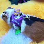 Cute Bowknot Small Pet Harness and Leash Set - GreenFur