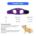 Cute Bowknot Small Pet Harness and Leash Set - GreenFur