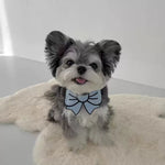 Cute Cartoon Designed Polyester Pet Bandanas - GreenFur