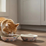 Cute Cat Shape Ceramic Material Pet Dog Cat Food Bowl - GreenFur