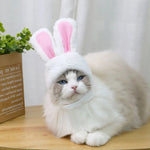 Cute Durable Comfortable Soft Rabbit Shape Pet Easter Hat - GreenFur