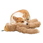 Cute Khaki Sloth Style Hangable Squeaky Crinkly Dog Companion Toy - GreenFur