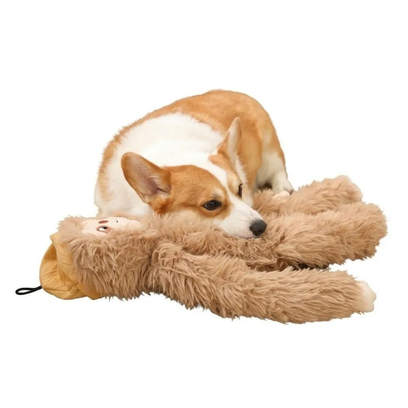 Cute Khaki Sloth Style Hangable Squeaky Crinkly Dog Companion Toy - GreenFur