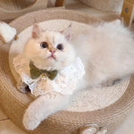 Cute Knitting Pattern Decorative Neckwear Cat Bandana - GreenFur
