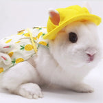 Cute Pineapple Print Rabbit Clothing Accessories and Leash Set - GreenFur