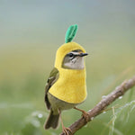 Cute Pineapple Style Comfortable Polyester Bird Clothes - GreenFur