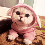 Cute Rabbit Ear Style Pet Hoodie Dog Cat Clothes Sweatshirt - GreenFur