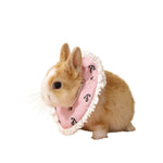 Cute Soft Cone Pet Recovery Collar for Rubbit - GreenFur