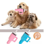 Cute Squeaky Dog Toys Cup Dog Birthday Toy for Aggressive Chewers - GreenFur