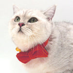 Cute Velvet Bow Pet Collar with Gold - plated Buckle - GreenFur