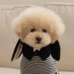 Cute Warm Bunny Ears Pet Hat for Cats and Dogs - GreenFur
