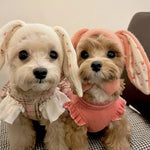 Cute Warm Bunny Ears Pet Hat for Cats and Dogs - GreenFur