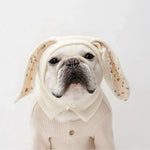 Cute Warm Bunny Ears Pet Hat for Cats and Dogs - GreenFur