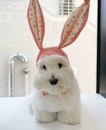 Cute Warm Bunny Ears Pet Hat for Cats and Dogs - GreenFur