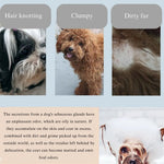 De - shedding Massage Pet Bath Brush for Dogs and Cats - GreenFur