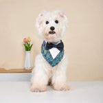 Denim Fringe Party Decorative Pet Bandana - GreenFur