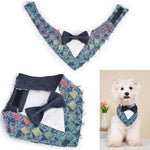 Denim Fringe Party Decorative Pet Bandana - GreenFur