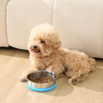 Detachable Anti - Slip Durable Stainless Steel Pet Bowl - GreenFur